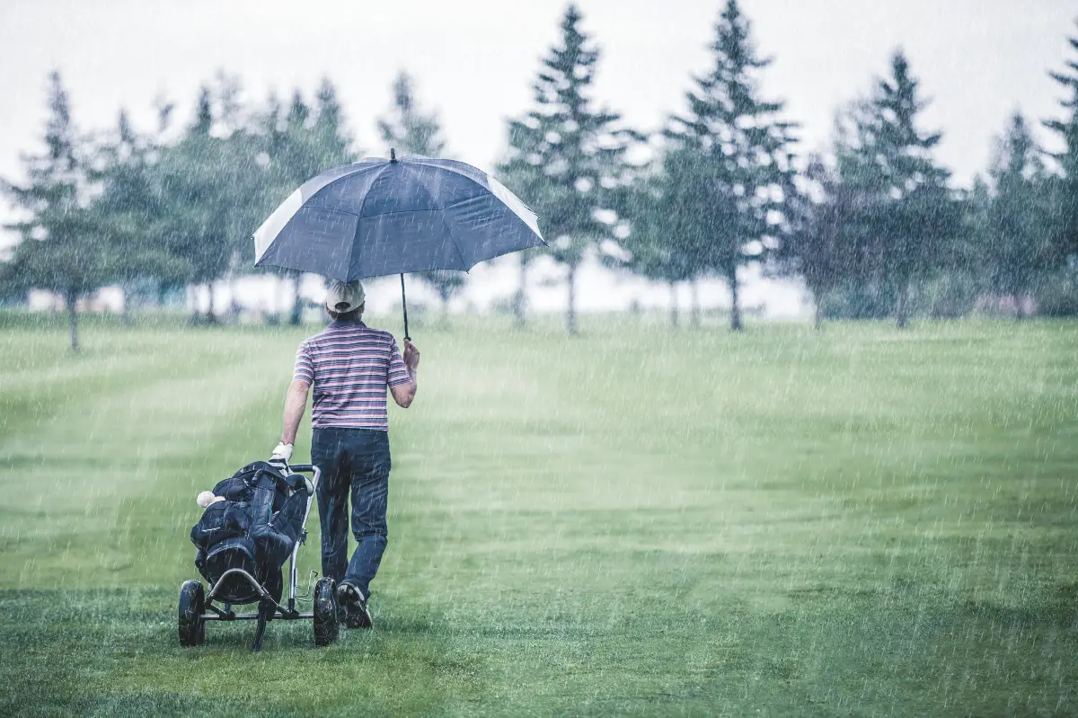 best golf umbrella for wind and rain